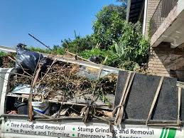 Best Shed Removal  in Noroton, CT